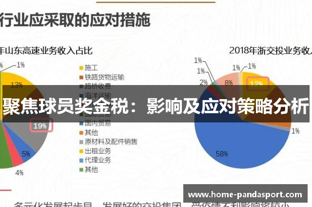 聚焦球员奖金税：影响及应对策略分析